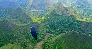 A Giant Ancient Forest Discovered By Scientist 630 Feet Below The Surface Of A Sinkhole