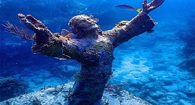8 Intriguing Statues Hidden Beneath the Waves