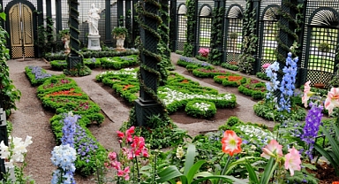  8 Essential Steps to Prepare Your Garden for Winter