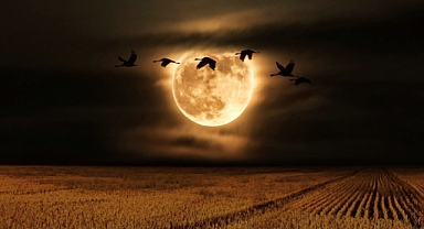 Don't Miss the Year's Brightest Moon: October's Hunter's Supermoon