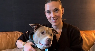 Hollywood Star Scarlett Johansson’s Sweet Encounter With Senior Shelter Dog