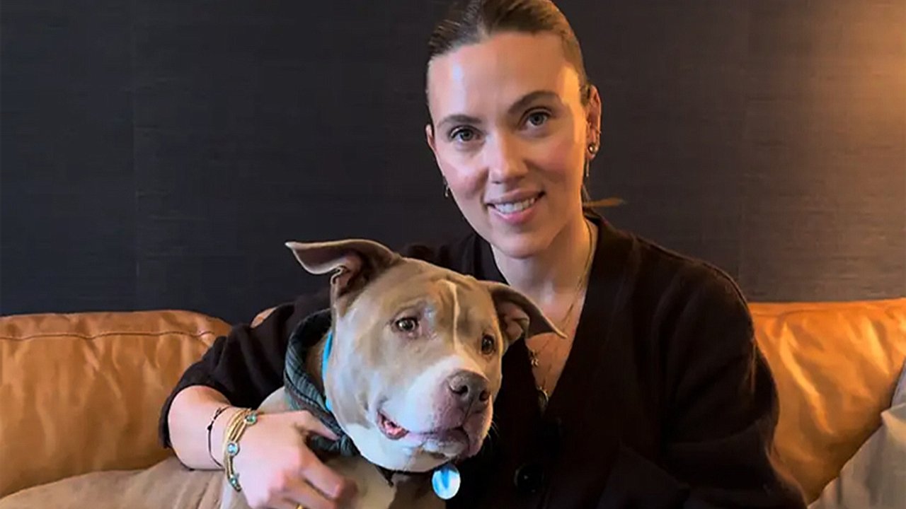 Hollywood Star Scarlett Johansson’s Sweet Encounter With Senior Shelter Dog