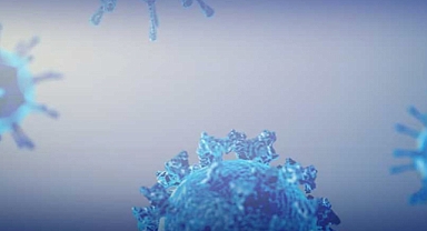 Iowa Resident Dies of Lassa Fever: Rare Virus Explained