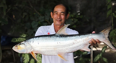 Long-Lost ‘Mekong Ghost’ Fish Rediscovered After Nearly 20 Years