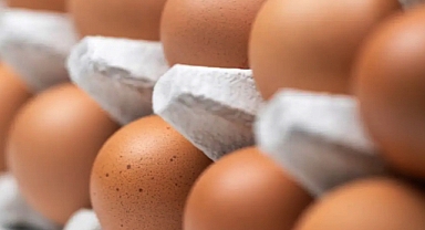 Salmonella Egg Recall in Illinois Escalates to 'Class I' Health Risk