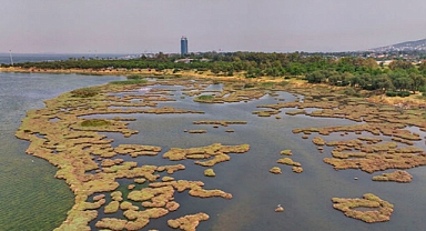 The Mystery of the Delayed La Niña: Scientists Search for Answers