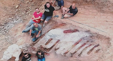 Backyard Discovery Unveils Europe's Largest Dinosaur Skeleton in Portugal