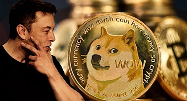 Dogecoin Surges as Trump Introduces “DOGE” Department of Government Efficiency