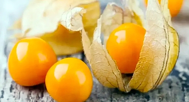Goldenberries (Uchuva): A Nutrient-Rich Superfruit for Boosted Health and Wellness