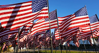 Honoring Service and Peace: Bay Area Veterans Day Celebrations 2024