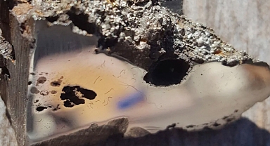 Meteorite Found in Somalia Contains Two Never-Before-Seen Earthly Minerals