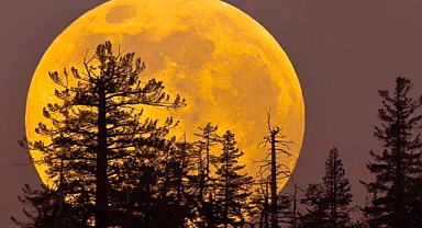The Year's Final Supermoon: When and How to See It Shine Bright