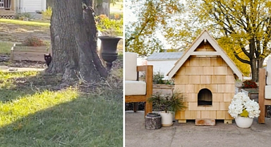 Warm Welcome: Couple Crafts Cozy Winter Home for Stray Cat