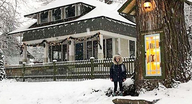 110-Year-Old Tree Transformed into a Magical Free Library for the Community