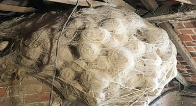 The Astonishing Secret Hidden in the Attic