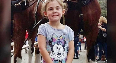 Dad Snaps Daughter’s Photo with a Horse—What He Notices Next Leaves Him in Stitches