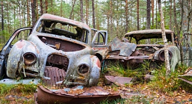Young Boy Discovers Abandoned Car in Forest—What He Finds Inside Changes Everything