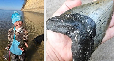 Young Explorer’s Stunning Discovery: A Prehistoric Relic on the Shoreline
