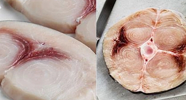 12 Fish You Should Avoid Eating and Why