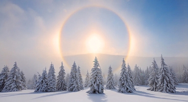 Daylight Wonders: How to Spot Halos, Sun Dogs, and Other Skyborne Marvels