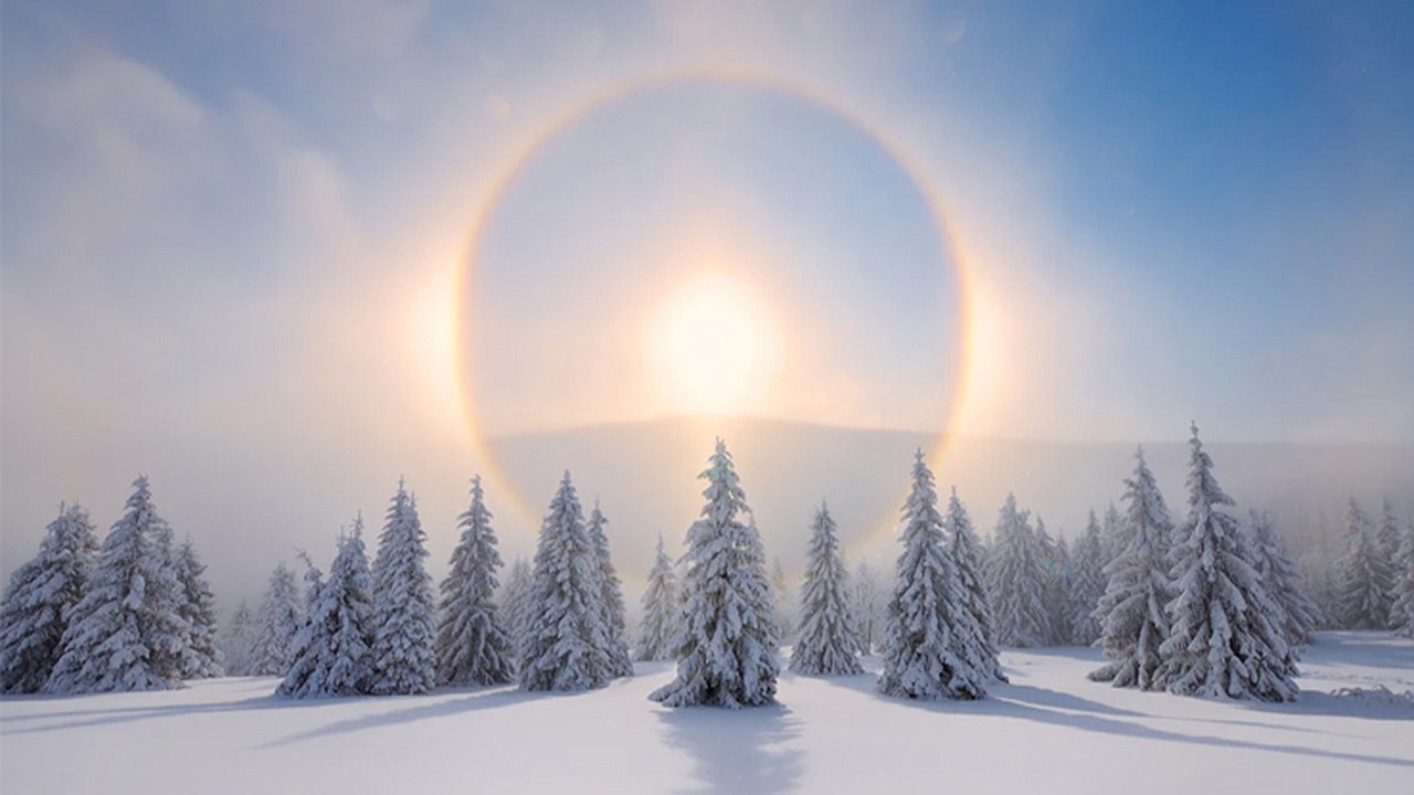 Daylight Wonders: How to Spot Halos, Sun Dogs, and Other Skyborne Marvels