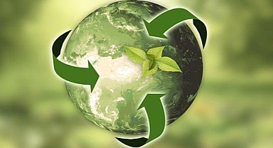 Oceans vs. Rainforest: Who Really Produces the World’s Oxygen?