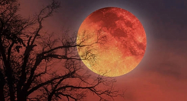 “Everything You Need to Know About the Upcoming Blood Moon Eclipse”