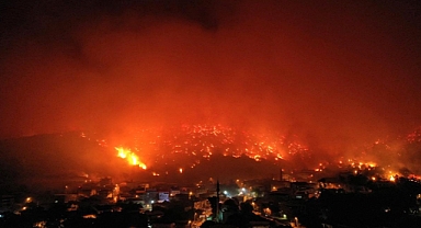 Raging Wildfire Forces Evacuations and Highway Shutdown in Türkiye’s Bursa Province