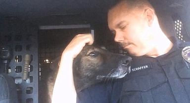 Loyal K-9 Hero Faust Retires After 8 Years of Service with Emotional Final Radio Call