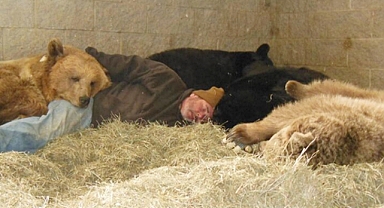 Man sleeps peacefully among four giant bears, leaving the world in awe