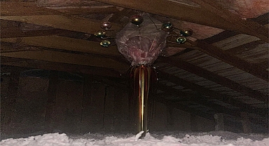 Strange Attic Finds Explained: How to Identify Unusual Objects Without Panic
