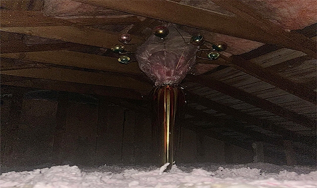 Strange Attic Finds Explained: How to Identify Unusual Objects Without Panic