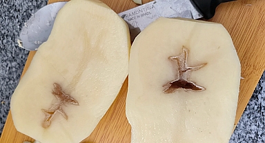 Why Potatoes Get Black Rings Inside: The Unexpected Truth Behind the Dark Spots