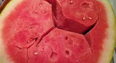 Cracks Inside Your Watermelon? The Truth Behind This Strange Sign May Surprise You