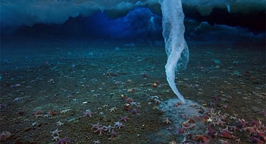 Ice Finger Of Death Caught On Camera For First Time Beneath The Antarctic Ice