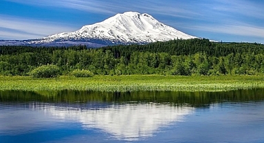 Unusual Earthquake Swarm Shakes Washington's Mount Adams